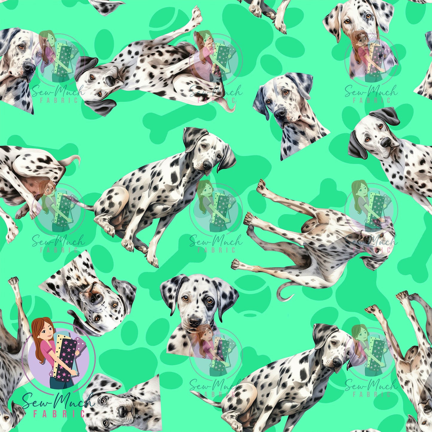 Dalmatian 1 | Pre-Order |