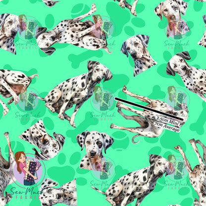 Dalmatian 1 | Pre-Order |