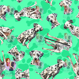 Dalmatian 1 | Pre-Order |