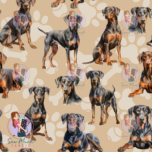 Doberman | Pre-Order |