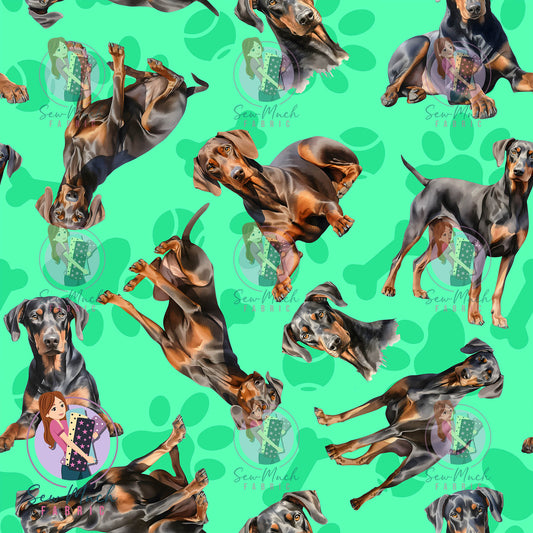Doberman 1 | Pre-Order |