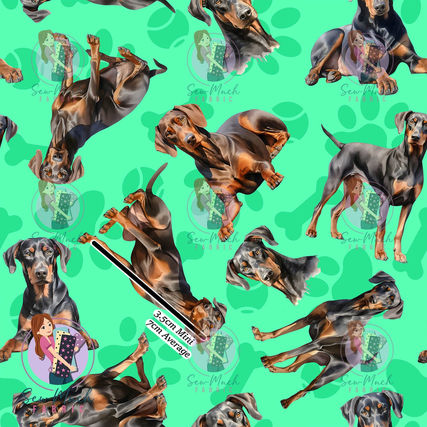 Doberman 1 | Pre-Order |