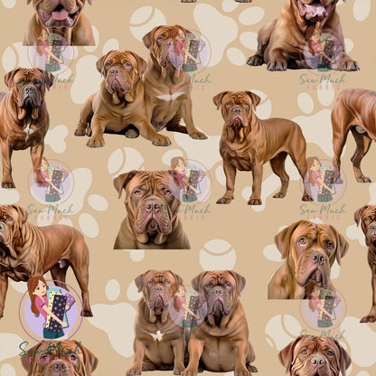 Dogue De Bordeaux | Pre-Order |