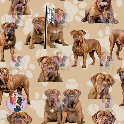 Dogue De Bordeaux | Pre-Order |