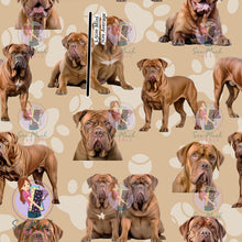 Load image into Gallery viewer, Dogue De Bordeaux | Pre-Order |
