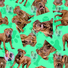 Load image into Gallery viewer, Dogue De Bordeaux 1 | Pre-Order |
