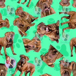 Dogue De Bordeaux 1 | Pre-Order |