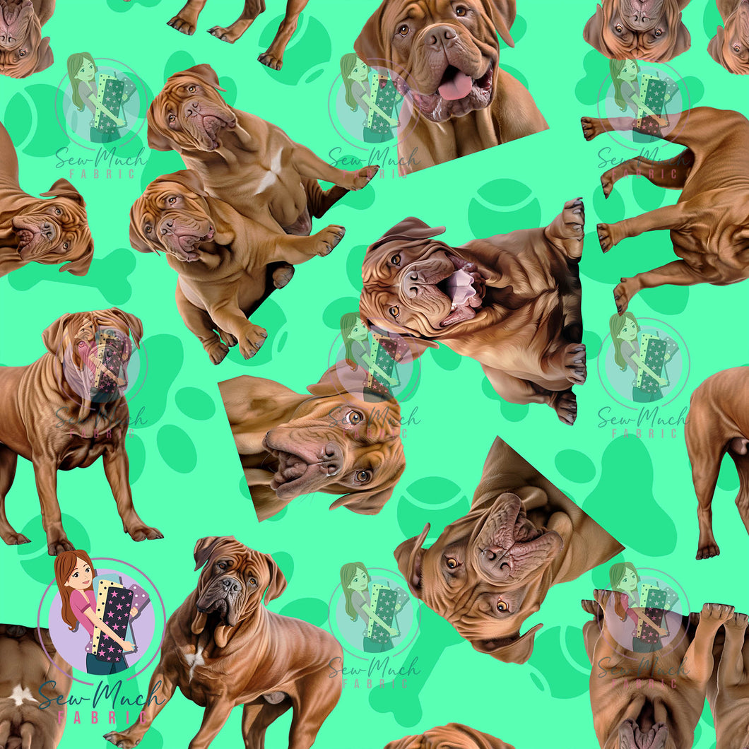 Dogue De Bordeaux 1 | Pre-Order |