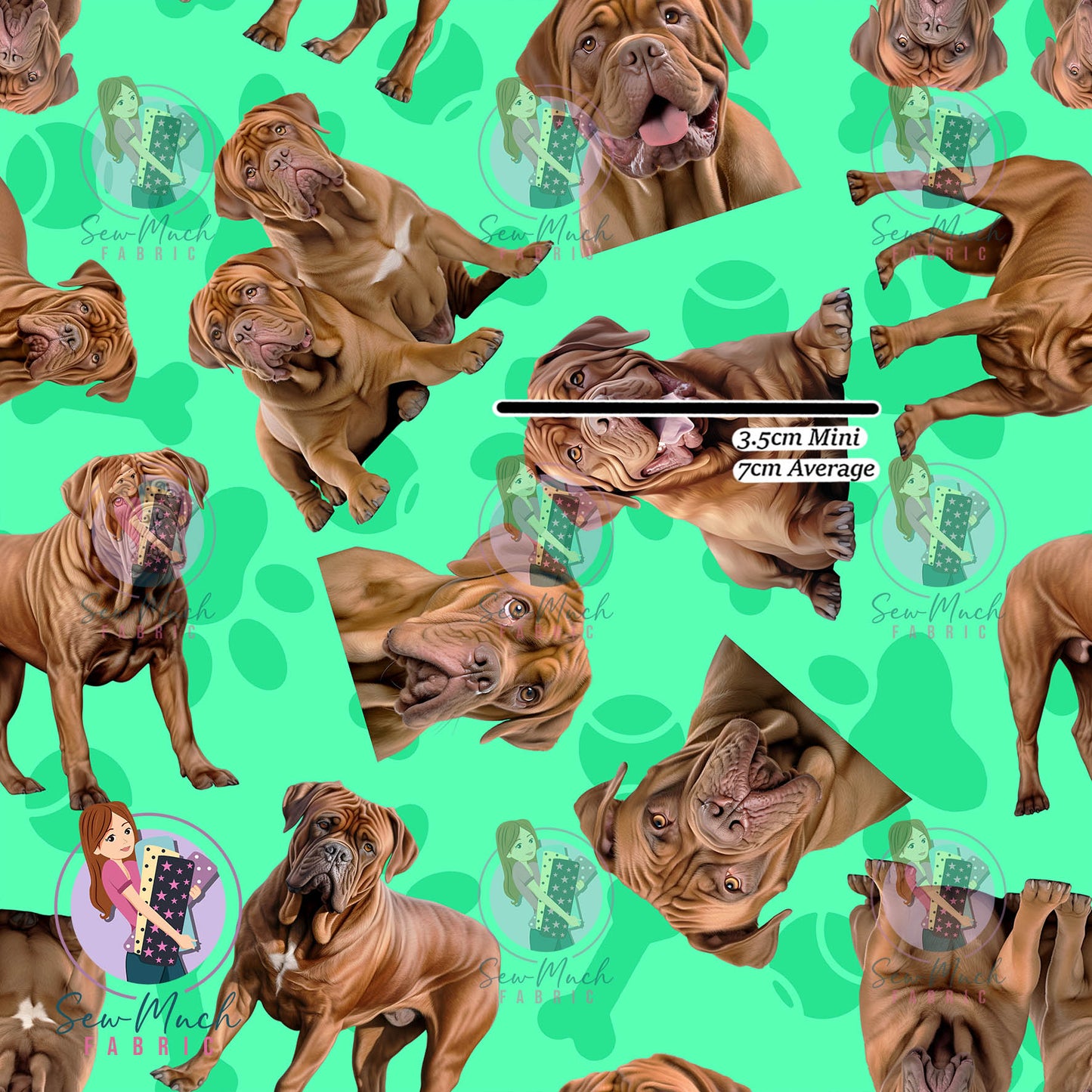 Dogue De Bordeaux 1 | Pre-Order |