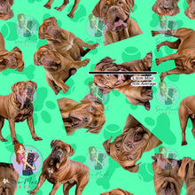 Load image into Gallery viewer, Dogue De Bordeaux 1 | Pre-Order |
