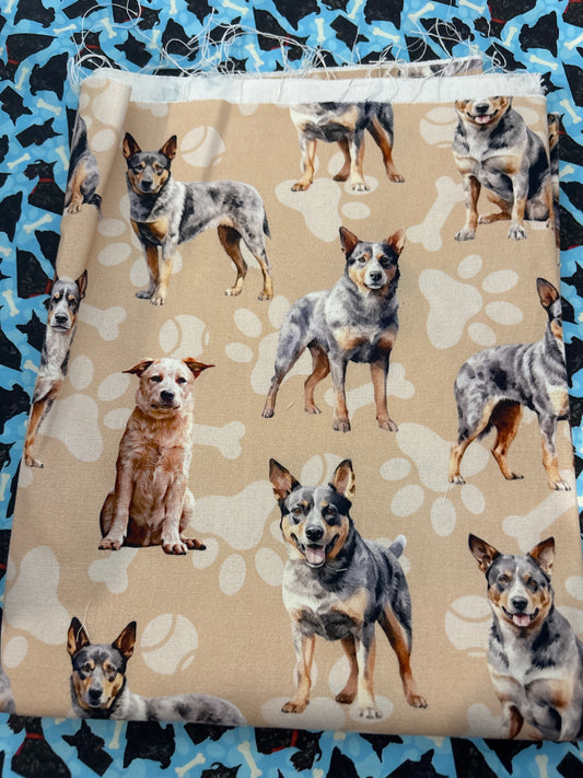 REMNANT: CANVAS Cattle Dog