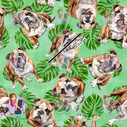 English Bulldog 2 | Pre-Order |