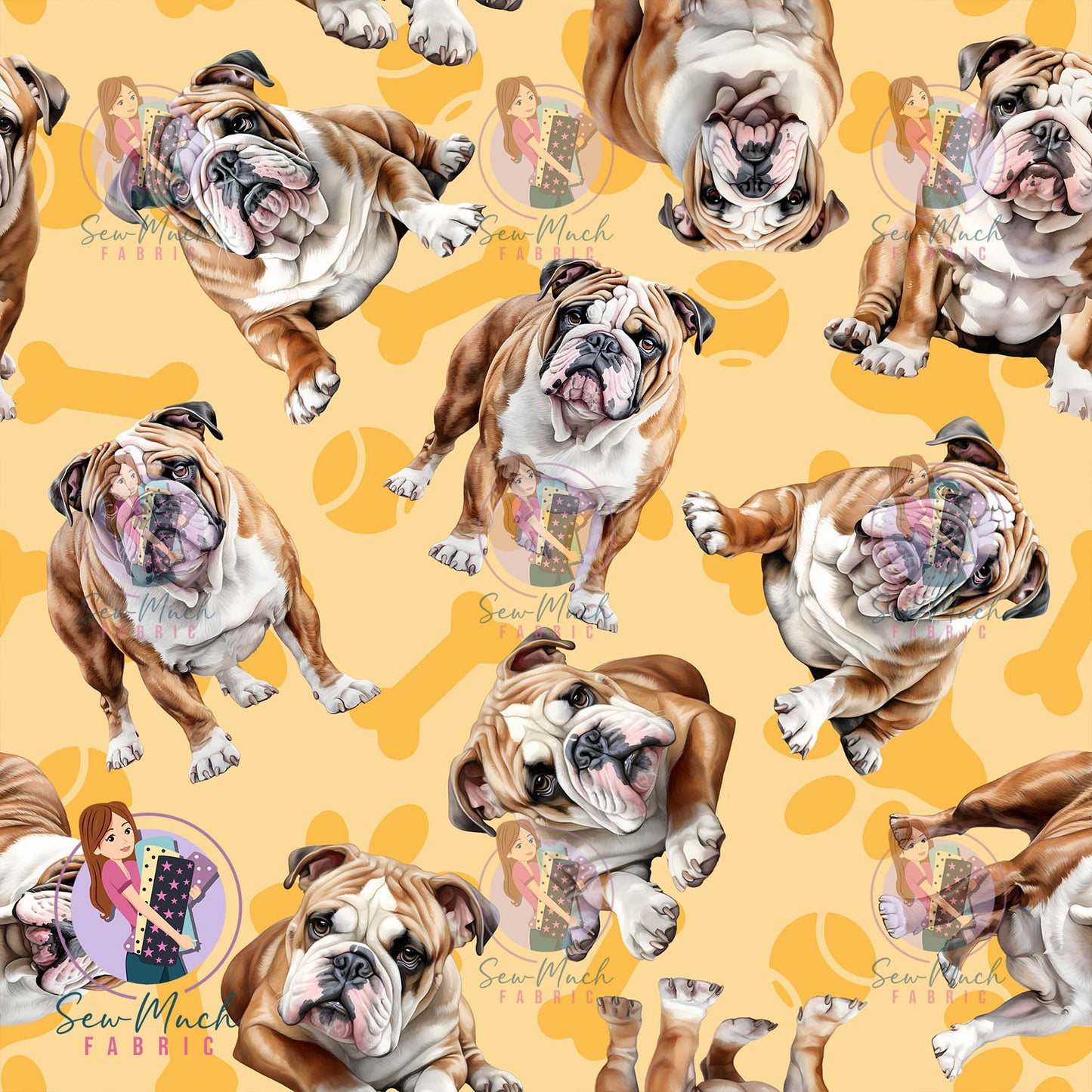 English Bulldog 1 | Pre-Order |