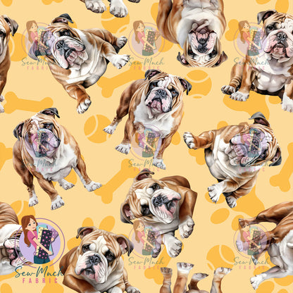 English Bulldog 1 | Pre-Order |