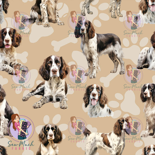English Springer Spaniel | Pre-Order |