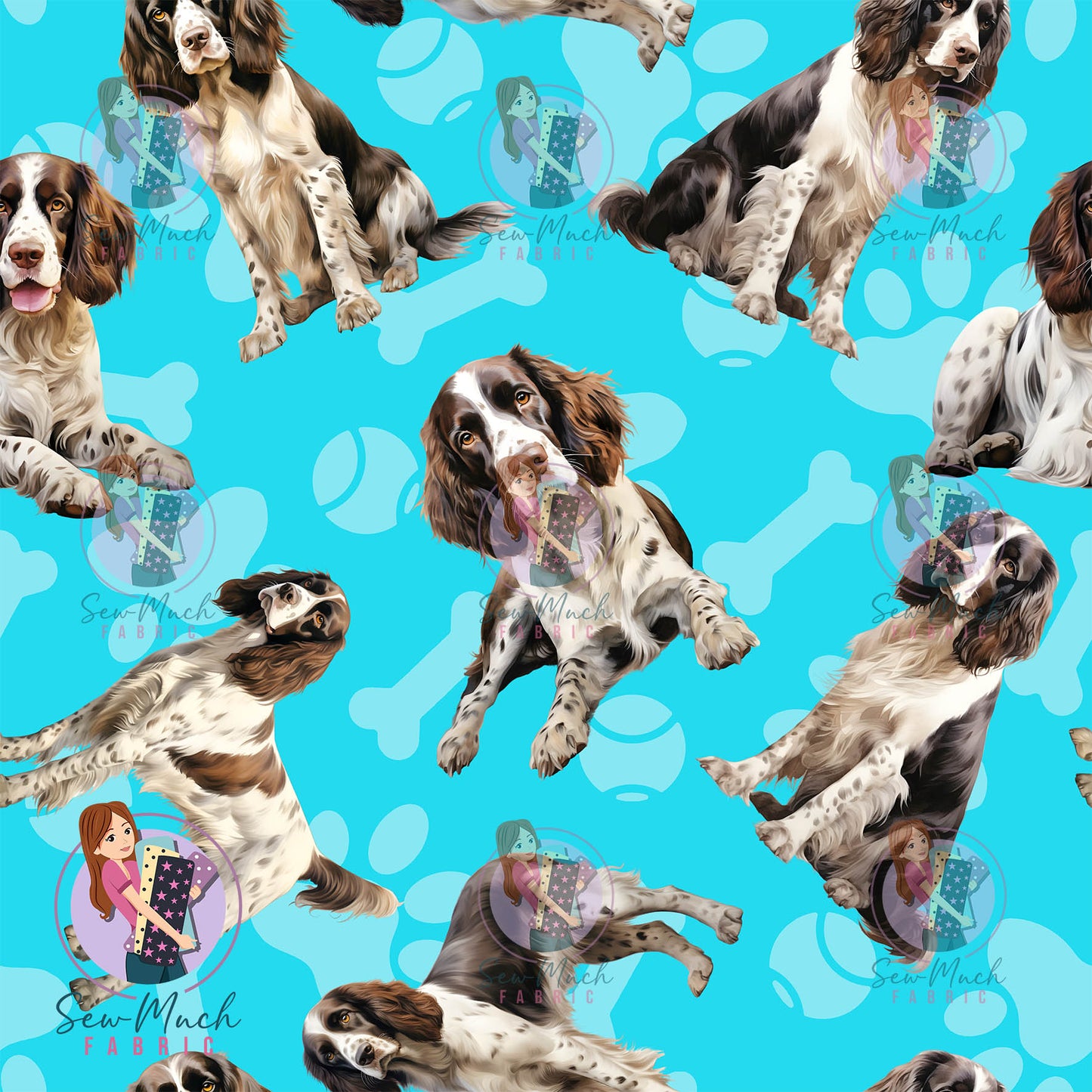 English Springer Spaniel 1 | Pre-Order |