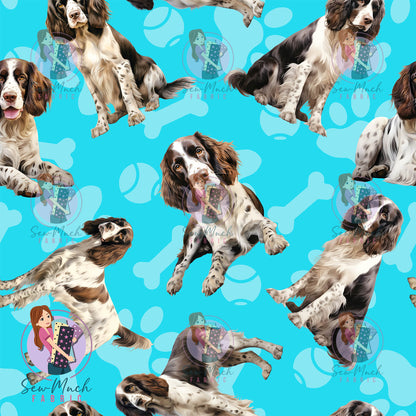 English Springer Spaniel 1 | Pre-Order |