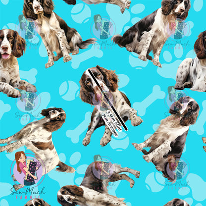 English Springer Spaniel 1 | Pre-Order |