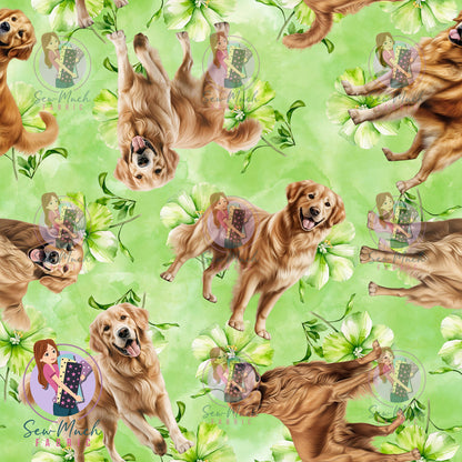 Golden Retriever 2 | Pre-Order |