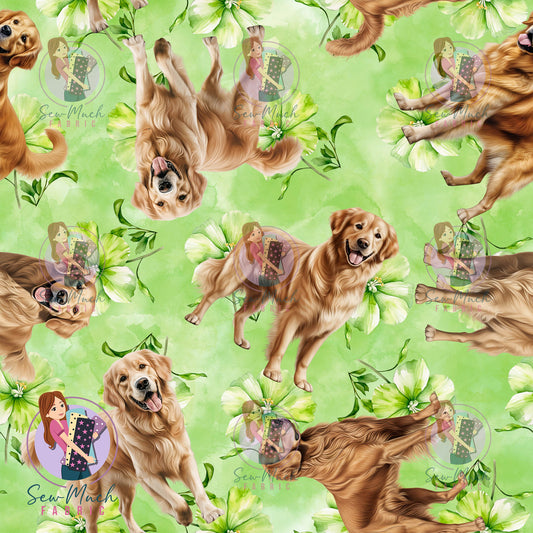 Golden Retriever 2 | Pre-Order |