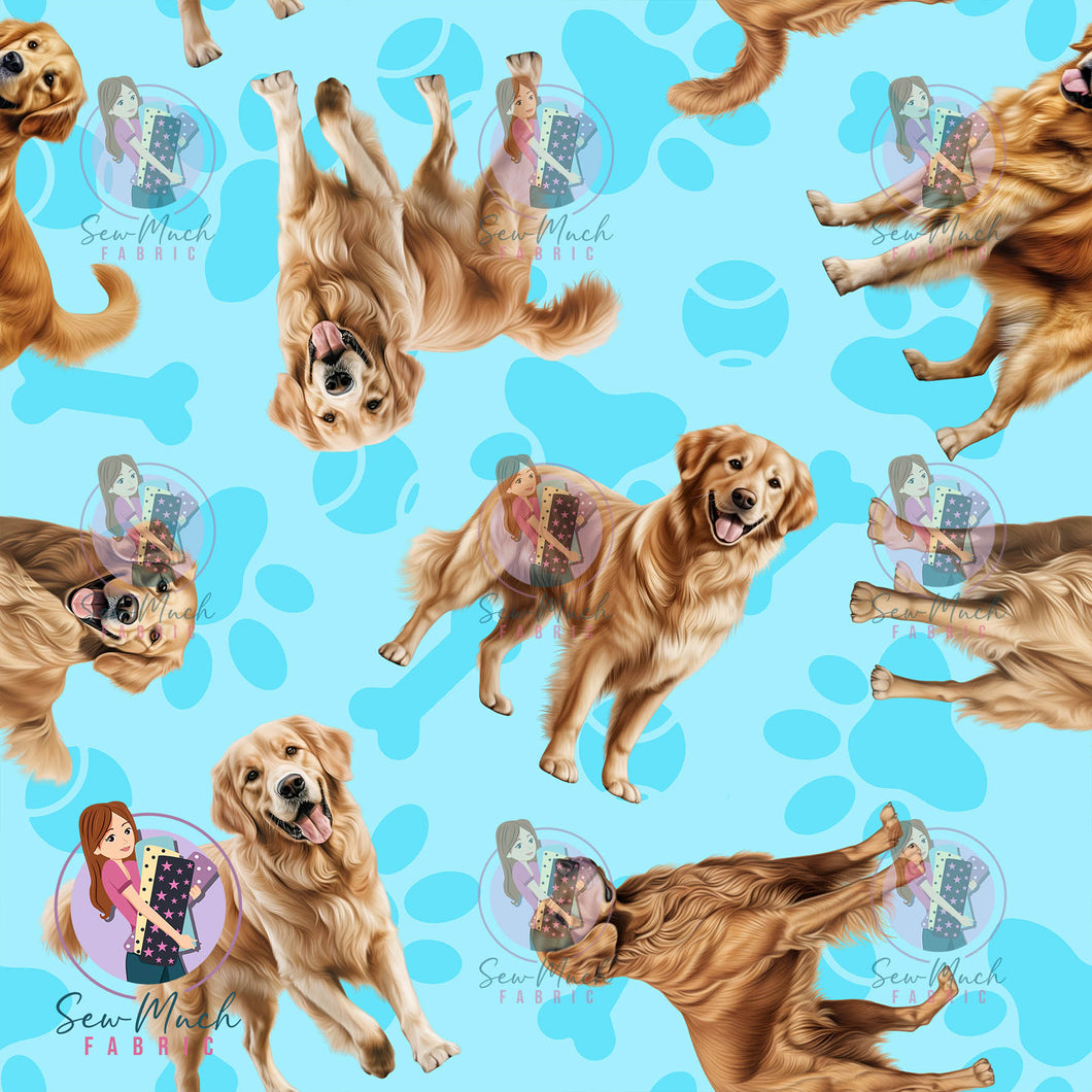Golden Retriever 1 | Pre-Order |