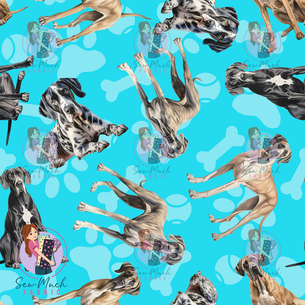 Great Dane 1 | Pre-Order |