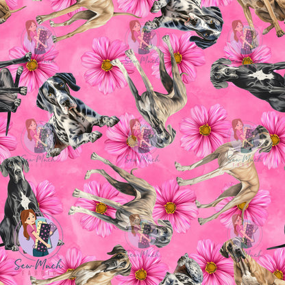 Great Dane 2 | Pre-Order |