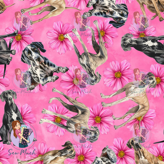 Great Dane 2 | Pre-Order |
