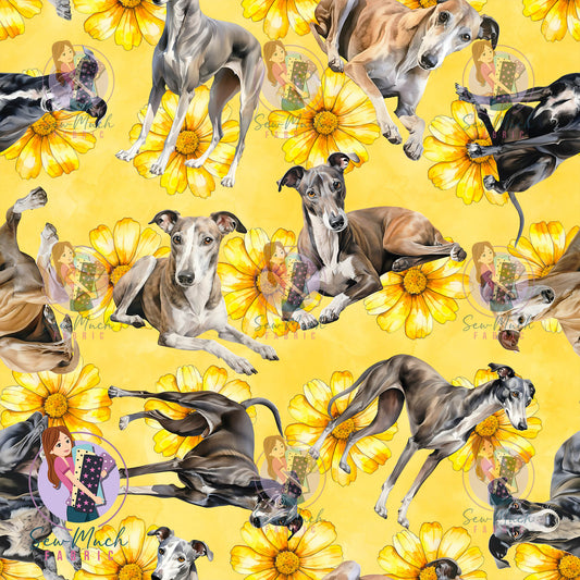 Greyhound 2 | Pre-Order |