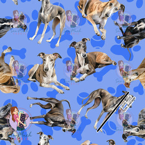 Greyhound | Canvas | Retail | Average Scale