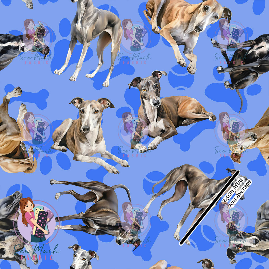 Greyhound | Canvas | Retail | Average Scale