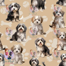 Load image into Gallery viewer, Havanese | Pre-Order |
