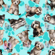 Load image into Gallery viewer, Havanese 1 | Pre-Order |
