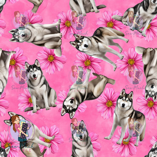 Husky 2 | Pre-Order |