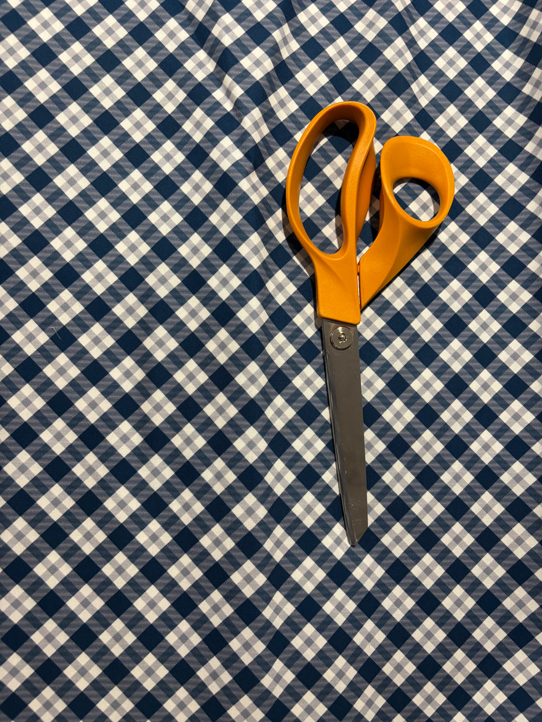 REMNANT: Gingham | Woven |