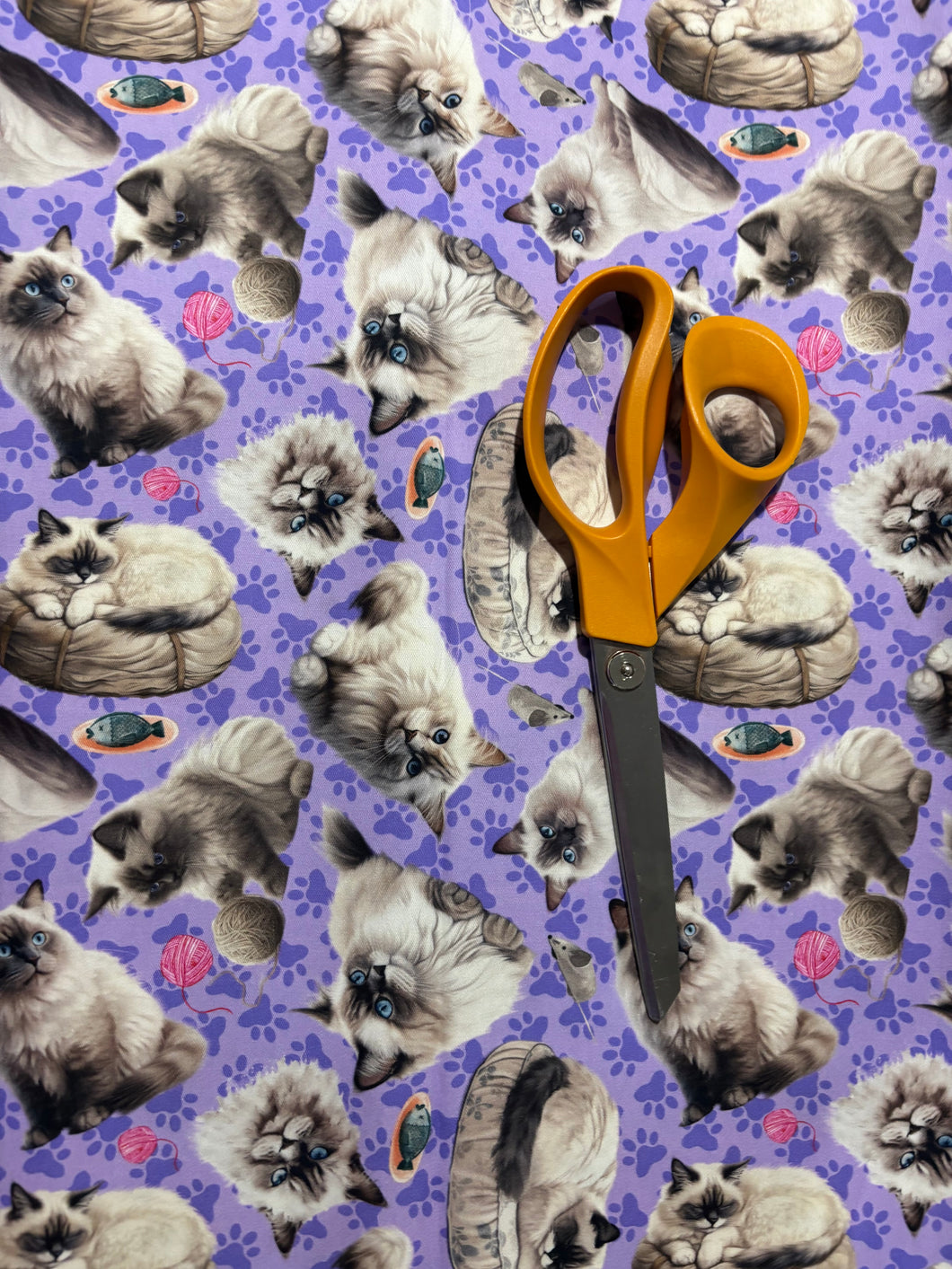REMNANT: Cat Purple | Woven |
