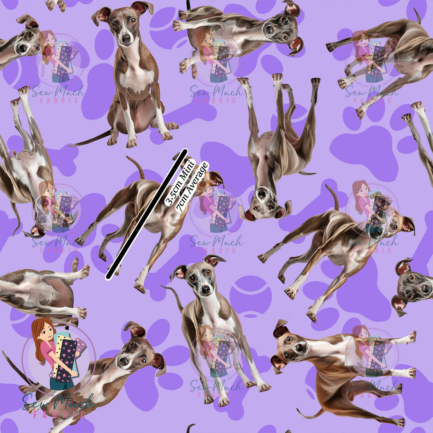 Italian Greyhound 1 | Pre-Order |