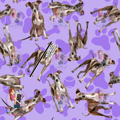 Italian Greyhound 1 | Pre-Order |