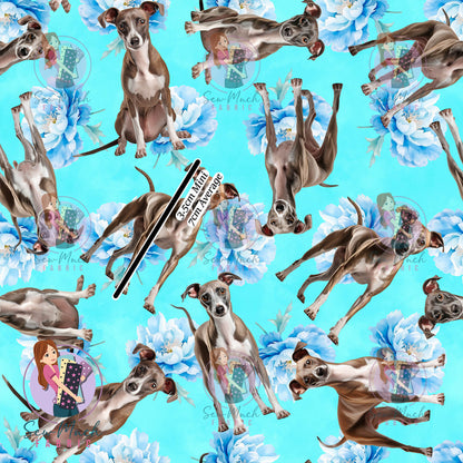 Italian Greyhound 2 | Pre-Order |