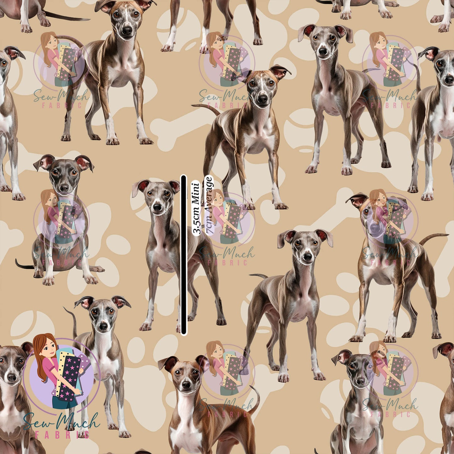 Italian Greyhound | Pre-Order |