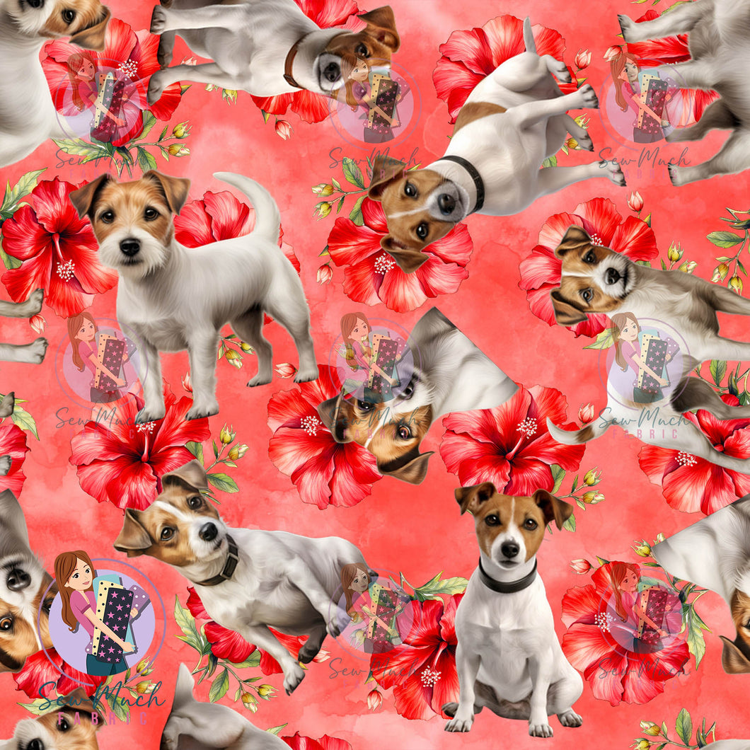 Jack Russell 2 | Pre-Order |