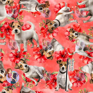 Jack Russell 2 | Pre-Order |