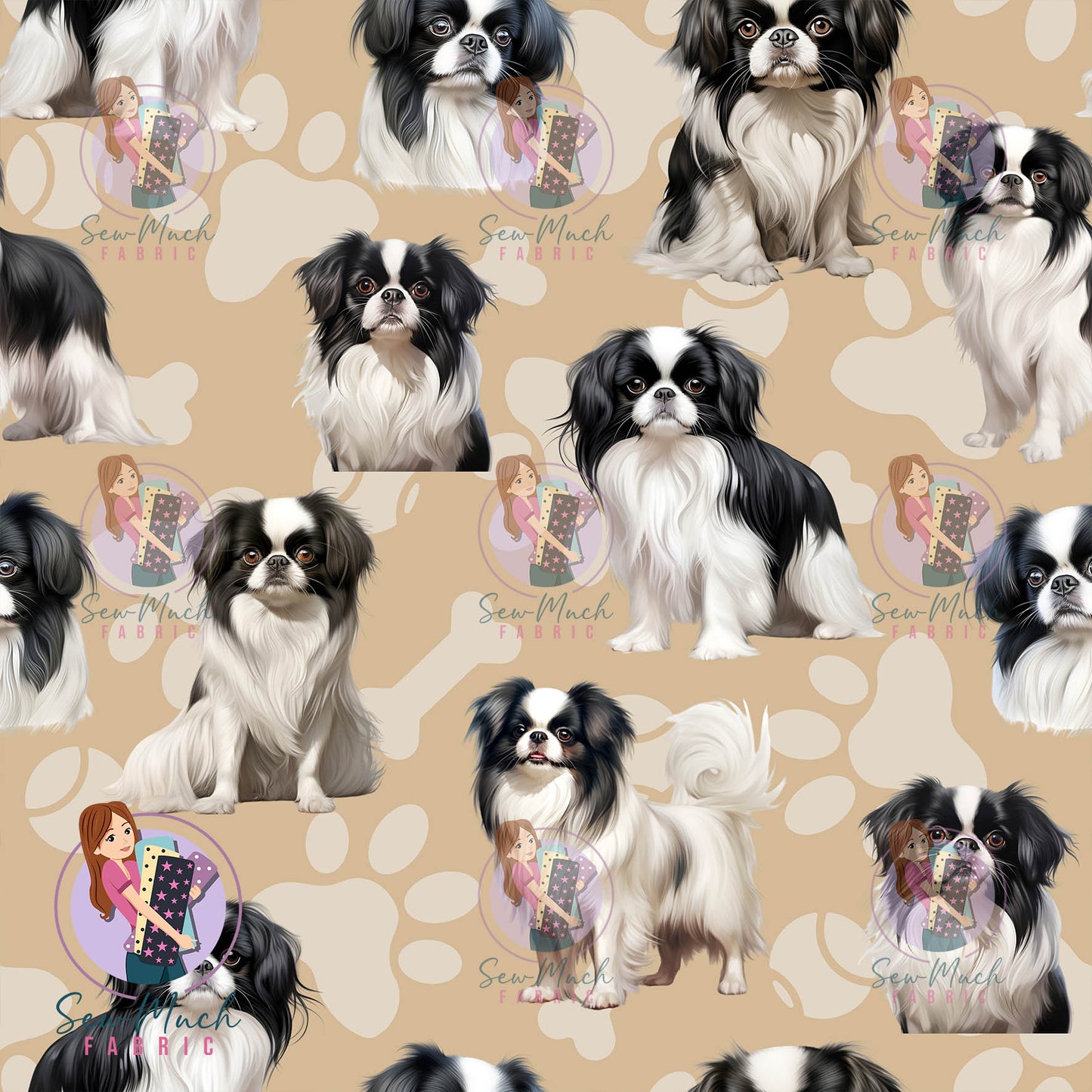 Japanese Chin | Pre-Order |