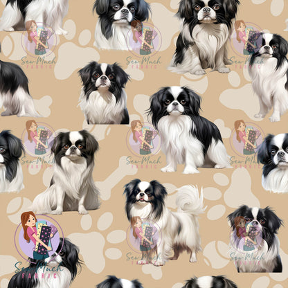 Japanese Chin | Pre-Order |