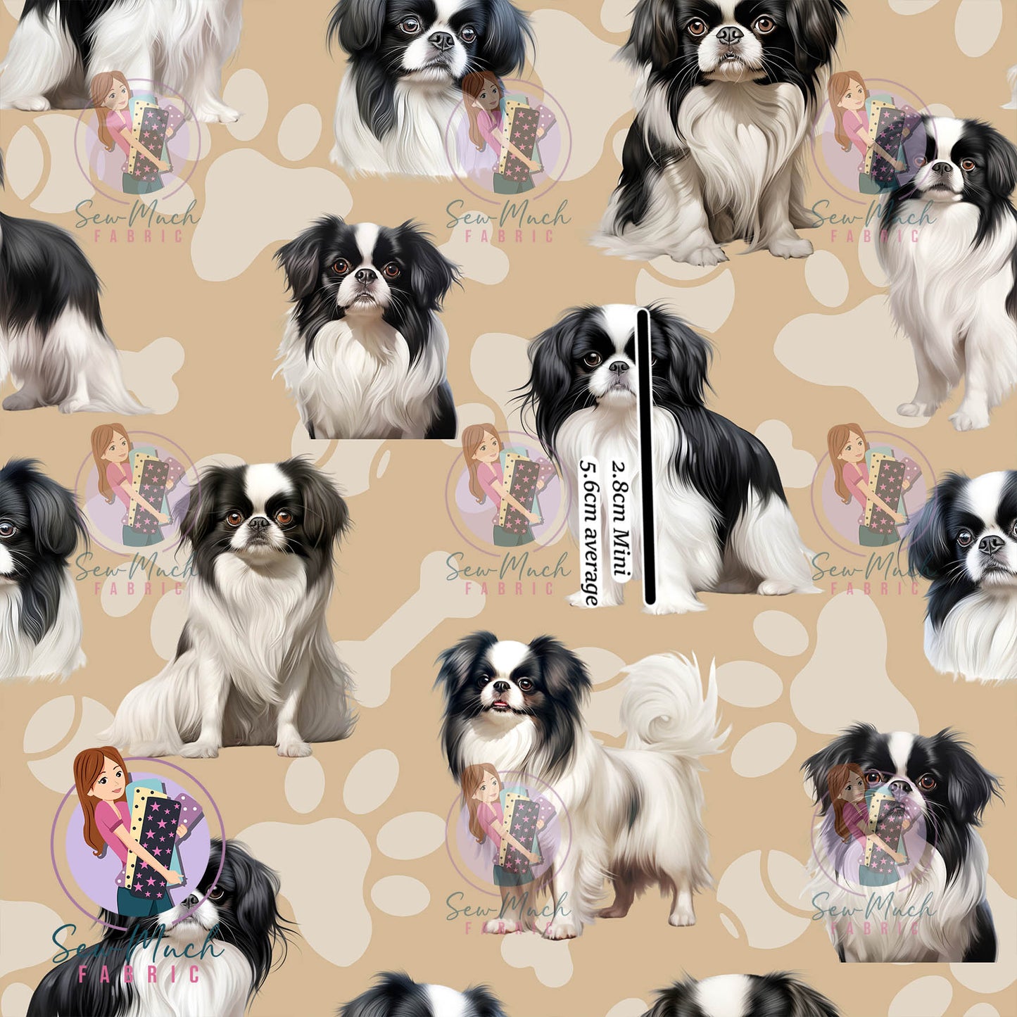 Japanese Chin | Pre-Order |