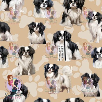 Japanese Chin | Pre-Order |