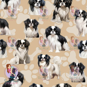 Japanese Chin | Pre-Order |