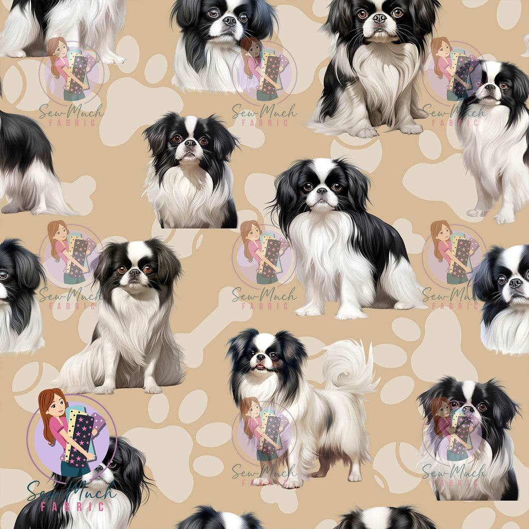Japanese Chin | Pre-Order |