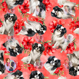 Japanese Chin 2 | Pre-Order |