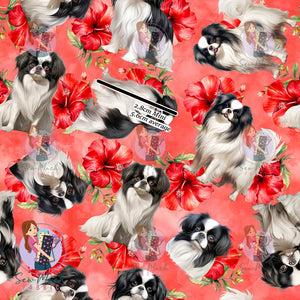 Japanese Chin 2 | Pre-Order |